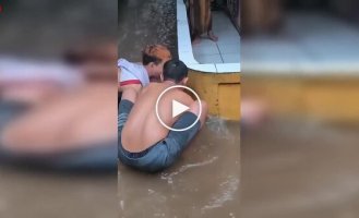 В Таиланде поймали гигантского питона на затопленной улице