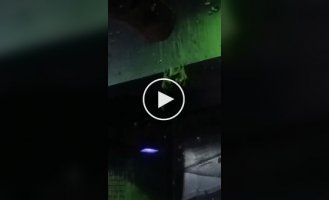 Two bats decide to settle their differences