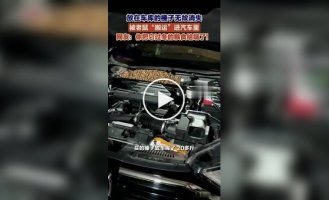 In China, a Man Found 18 kg of Hazelnuts Under the Hood of a Car