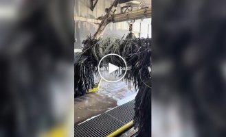 Мужчина с рулоном проволоки парализовал автомойку