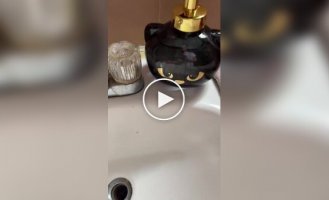 Cute gift for young cat lovers