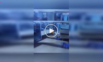 A direct route to the mall: a female driver in Paraguay drove onto an escalator