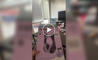 Кот невзлюбил наушники с ушками