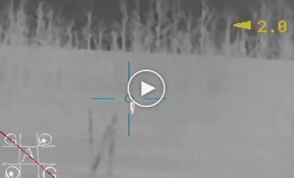 A sniper eliminated two occupiers from a distance of 930 meters