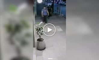 Drunk vandal damages plants but returns the next day to fix the mess