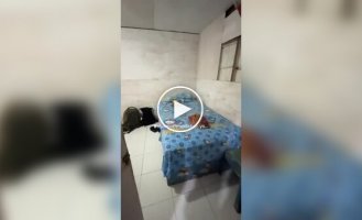 The most budget housing in Indonesia: no windows and with a toilet outside