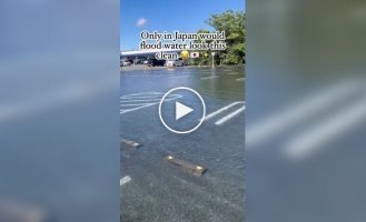 Прозрачная лужа в Японии