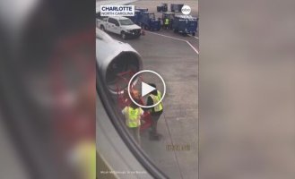 Cамолет не смог взлететь из-за пчел