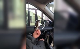 A woman taught a bird to bring her money