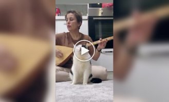 Дуэт года: Кот и его хозяйка исполняют народную песню