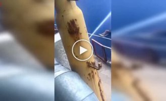 Девушка попыталась пробить струю воды головой