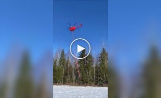 Механизированная обрезка деревьев возле ЛЭП с вертолета