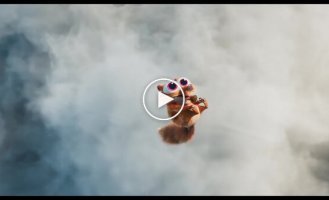 Вышел первый тизер нового «Ледникового периода»