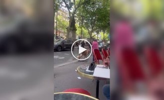 Бабушка вывела питомца на прогулку