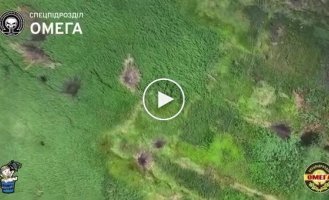Наши спецназовцы одним боеприпасом ликвидировали сразу пятерых российских захватчиков