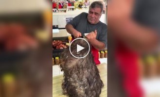 Turkish Tulum cheese.