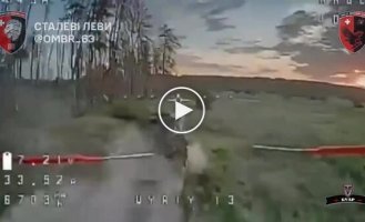 Операторы дронов 63-й ОМБр охотятся в лесу на российский танк