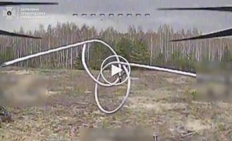 Пограничники уничтожили российскую РЛС, которую враг использовал для обстрелов Черниговщины