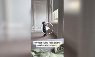 A Seagull Took a Piece of Pie from a Toddler