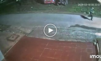 Носорог погнался за мужчиной в Непале