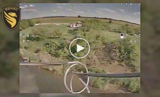 The Defense Forces tracked down and attacked an enemy tank, a gun, and enemy shelters