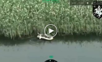 An attempt by the occupiers to cross the river by boat ended in failure: the watercraft was destroyed, the Russians were eliminated