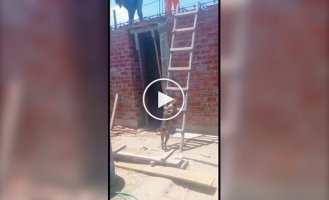 Упорство в достижении цели