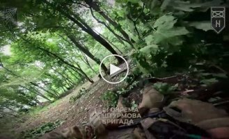 3rd Separate Assault Brigade drives out occupiers in the Redkodub area: enemy platoon eliminated, tactical situation improved