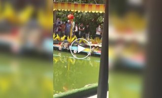 Во Вьетнаме вместо скачек устраивают заплывы обезьян