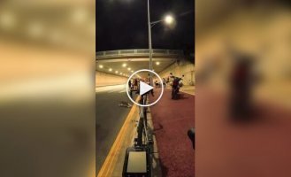 Apparently, something personal: a cat attacked bicycles