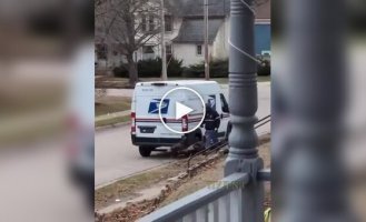 Месть за День Благодарения: в Висконсине стая диких индюков терроризирует местных жителей