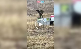 A bear tried to attack its savior