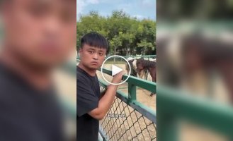 Мастер имитации: Как парень понимает язык животных