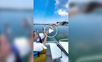 People touch flying geese in China