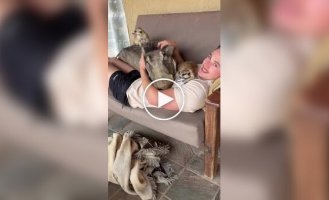 Тімон і Пумба в африканському заповіднику