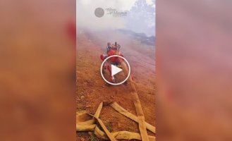 A robotic dog helps put out fires