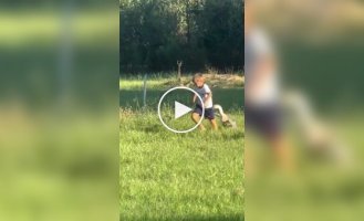 Мальчик против гуся
