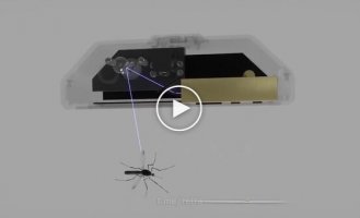 Hong Kong company presented Anti-mosquito air defense