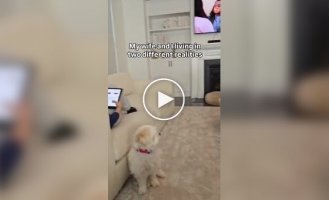 Коли чоловік і дружина живуть у різних реальностях