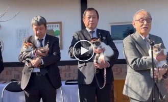 New cat caretaker at Kinokawa Station has taken office