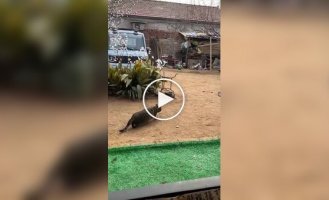 Миссия полностью провалена