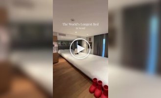 Самая длинная кровать в мире