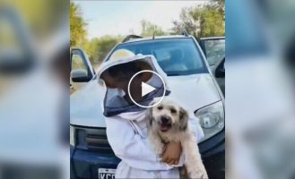 Пчеловоды сделали защитный костюм для своей собаки