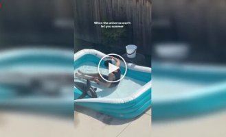 Дешевый бассейн со скидкой не выдержал воду: классический фейл
