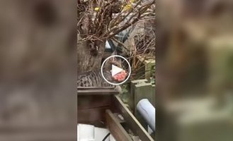 The hunt was a success