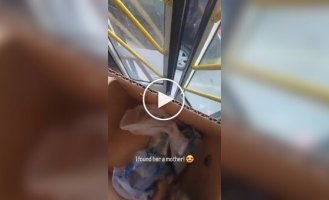 Парень оперативно пристроил уличного котенка
