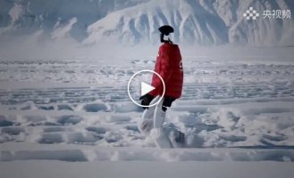 Китайский робот прошел более 130 тысяч шагов при температуре -47,5 градусов