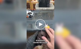 Как проверяют китайские чайники