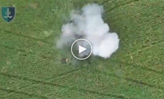 Drones of the 35th Brigade's marines destroyed a buggy with Russian assault aircraft
