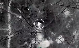 Soldiers of the 3rd separate assault brigade destroy Russian soldiers hiding in forests and plantings in the Kharkiv region